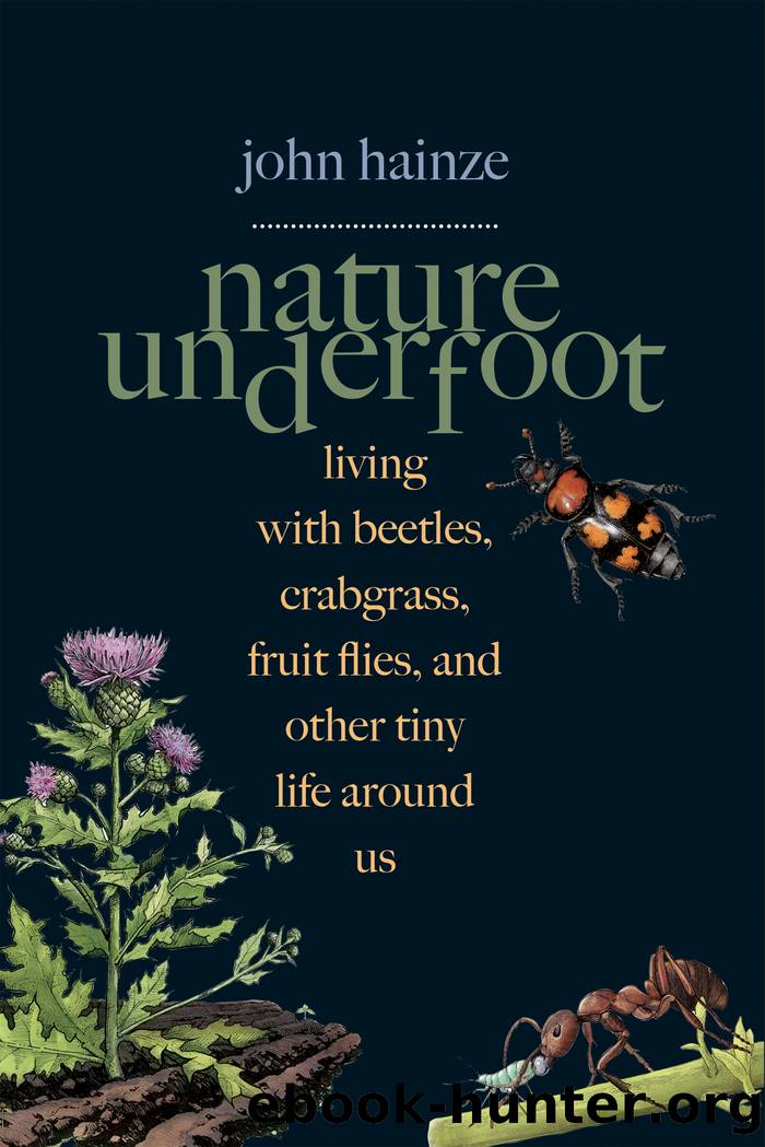 Nature Underfoot: Living With Beetles, Crabgrass, Fruit Flies, and Other Tiny Life Around Us by John Hainze