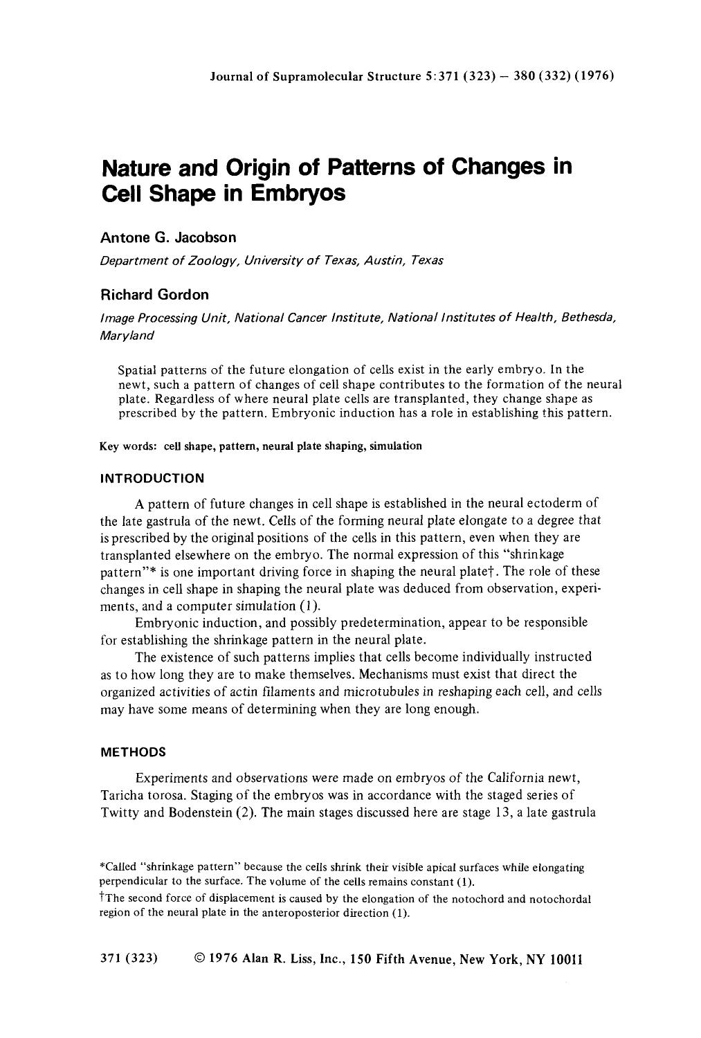 Nature and origin of patterns of changes in cell shape in embryos by Unknown