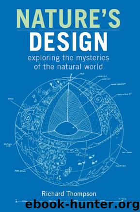 Nature's Design by Richard Thompson
