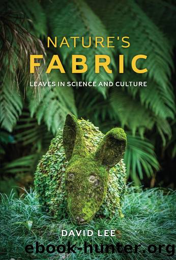 Nature's Fabric by David Lee