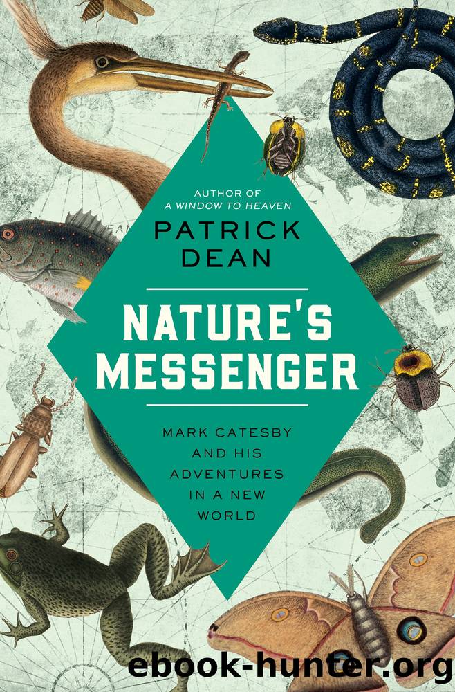 Nature's Messenger by Patrick Dean