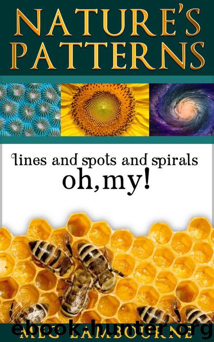 Nature's Patterns - Nature Photo Essay (Nature Book for Children and Adults) by Meg Lambourne