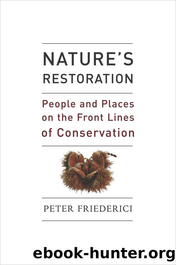 Nature's Restoration by Friederici Peter;
