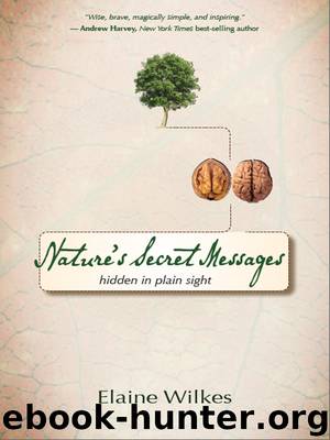 Nature's Secret Messages by Elaine Wilkes