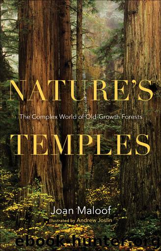 Nature's Temples by Joan Maloof
