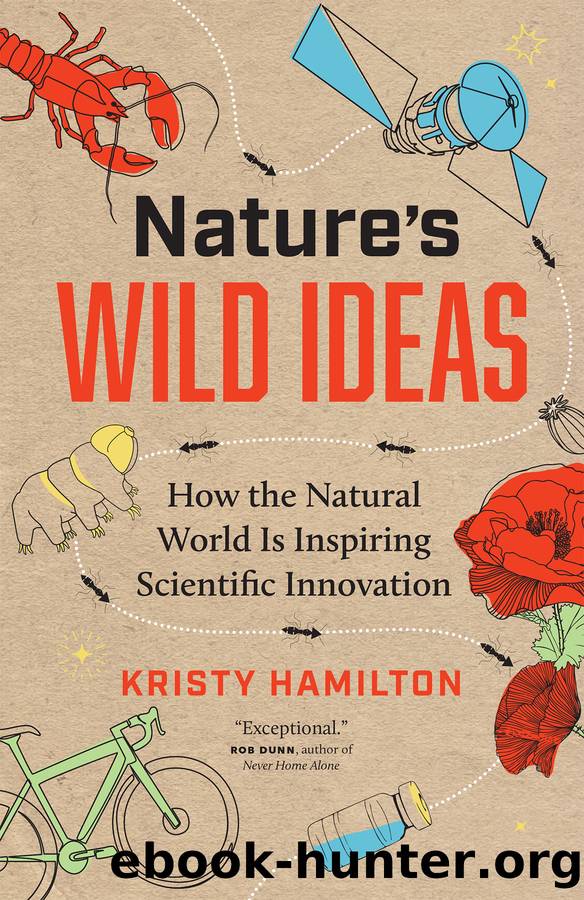 Nature's Wild Ideas: How the Natural World is Inspiring Scientific Innovation by Kristy Hamilton