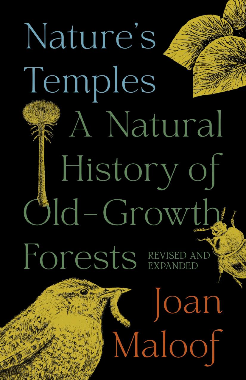 Natureâs Temples by Joan Maloof