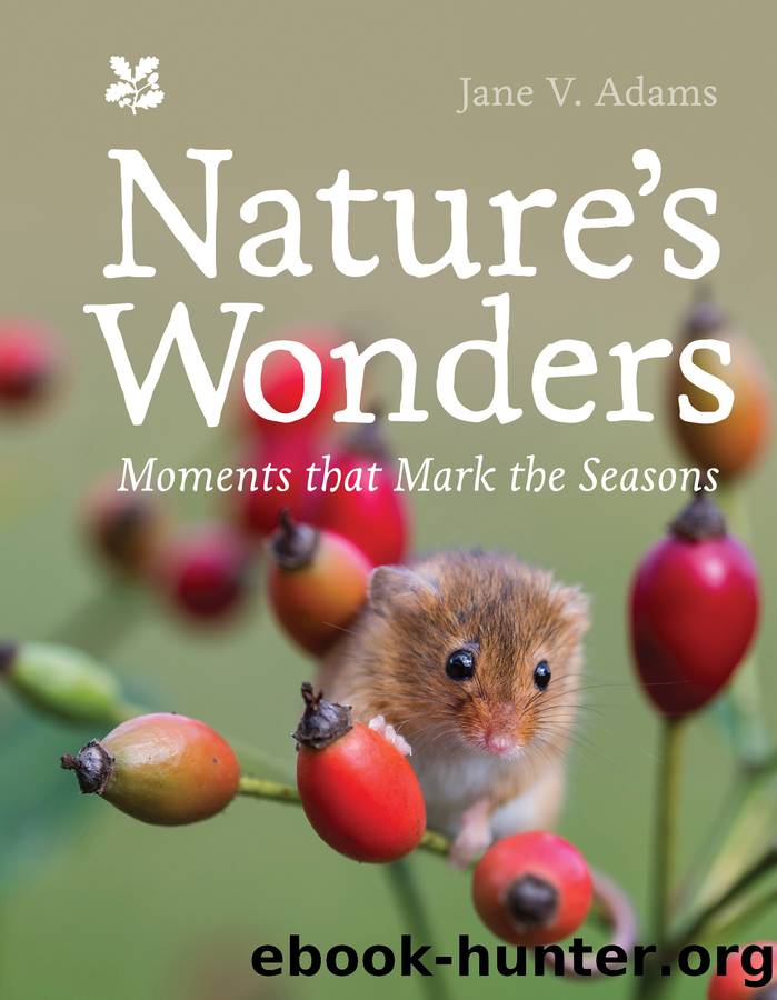 Natureâs Wonders by Jane V. Adams