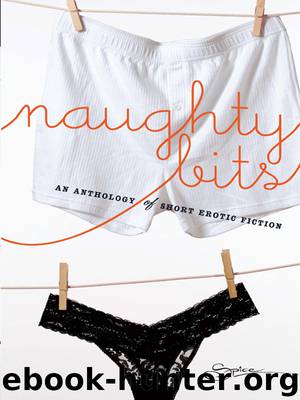 Naughty Bits by Lacy Danes