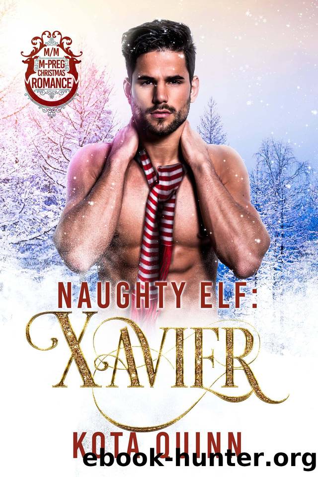 Naughty Elf: Xavier: MM Mpreg Christmas Romance by Kota Quinn