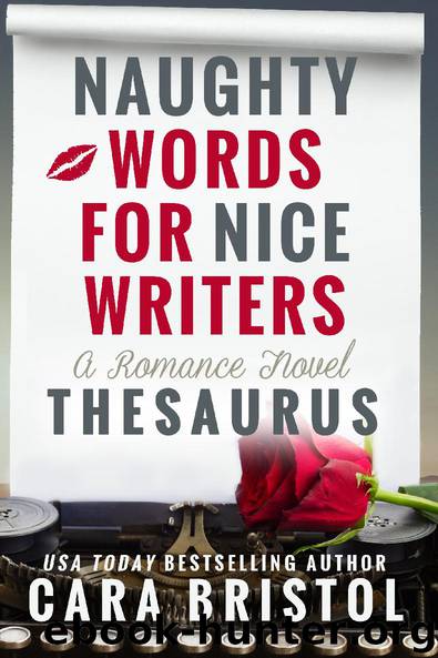Naughty Words for Nice Writers by Cara Bristol