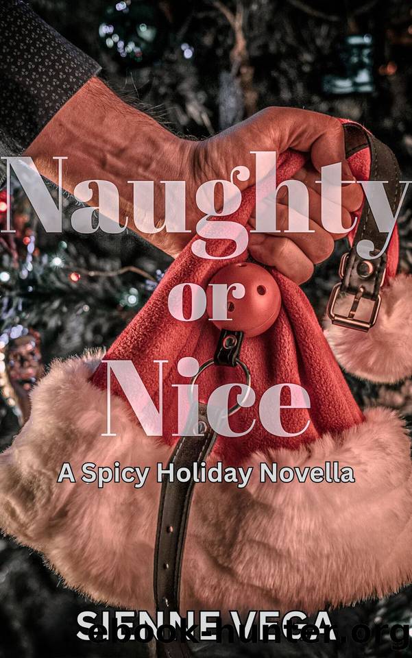 Naughty or Nice?: A Very Spicy Holiday Novella by Vega Sienne