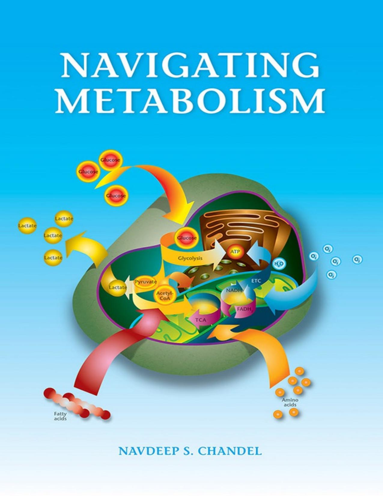 Navigating Metabolism by Navdeep Chandel
