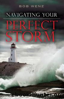 Navigating Your Perfect Storm by Wenz Bob;