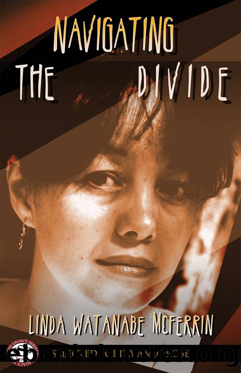 Navigating the Divide by Linda Watanabe McFerrin
