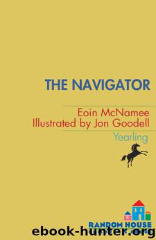 Navigator by Eoin McNamee
