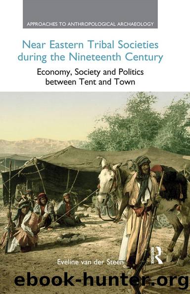 Near Eastern Tribal Societies During the Nineteenth Century by Eveline van der Steen