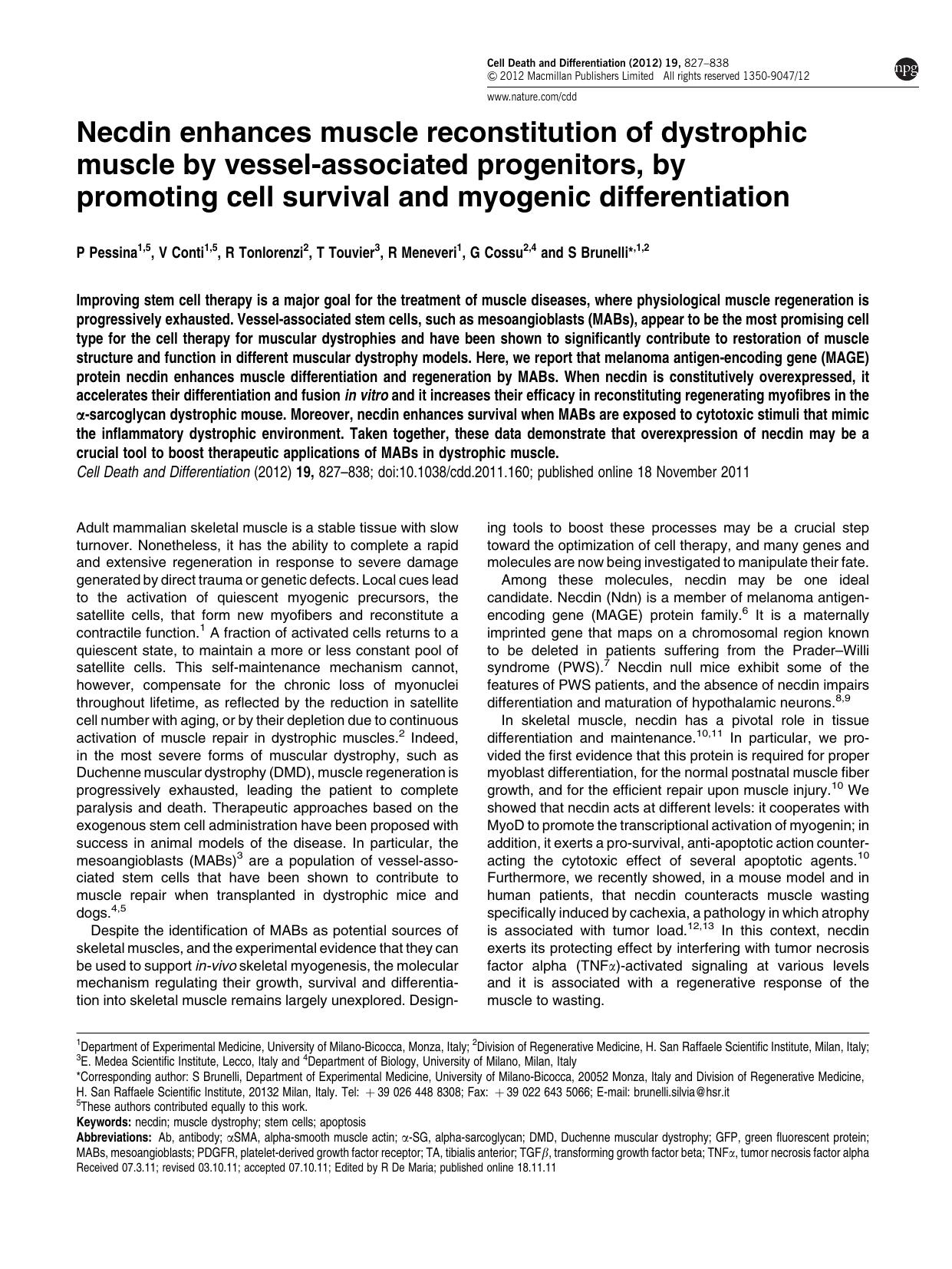 Necdin enhances muscle reconstitution of dystrophic muscle by vessel-associated progenitors, by promoting cell survival and myogenic differentiation by P Pessina & V Conti & R Tonlorenzi & T Touvier & R Meneveri & G Cossu & S Brunelli