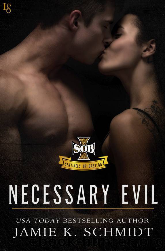 Necessary Evil by Jamie K. Schmidt