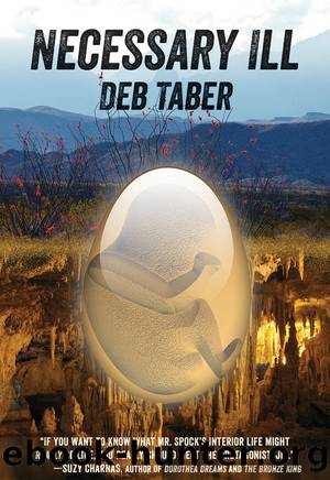 Necessary Ill by Deb Taber