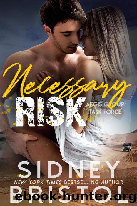 Necessary Risk by Sidney Bristol