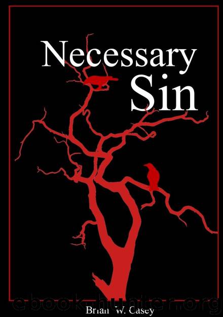 Necessary Sin by Brian W Casey
