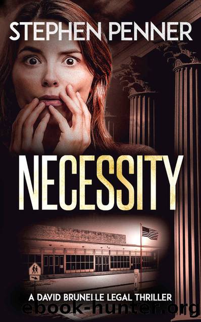 Necessity: (David Brunelle Legal Thriller Series Book 16) by Stephen Penner