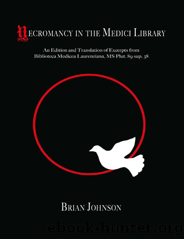 Necromancy in the Medici Library by Brian Johnson