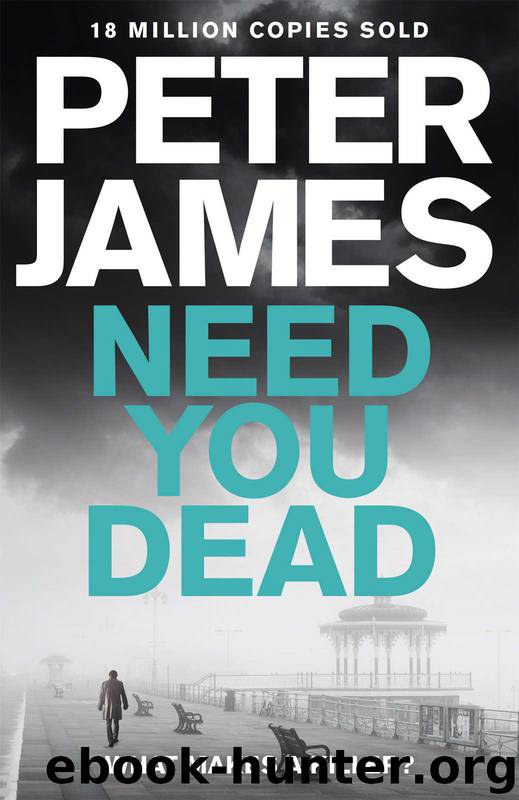 Need You Dead (Roy Grace) by James Peter