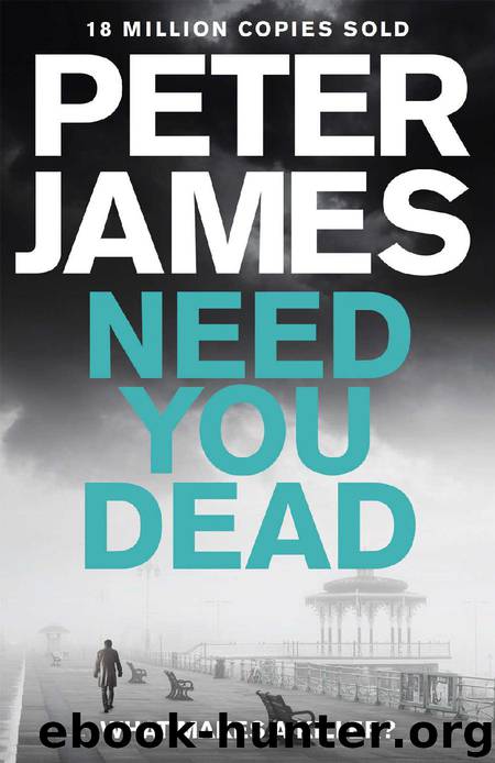 Need You Dead by Peter James