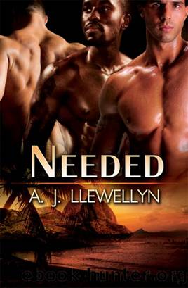 Needed by A. J. Llewellyn