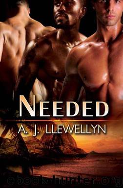 Needed by A.J. Llewellyn