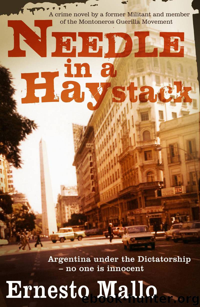 Needle In A Haystack by Ernesto Mallo