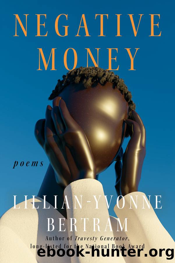 Negative Money by Lillian-Yvonne Bertram