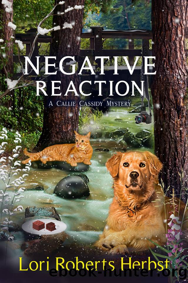 Negative Reaction: A Rock Creek Village Cozy Mystery (Callie Cassidy Mysteries Book 5) by Lori Roberts Herbst