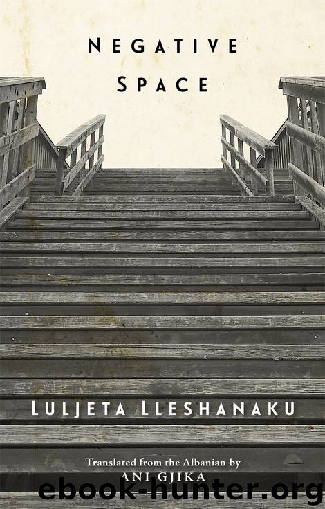 Negative Space by Luljeta Lleshanaku