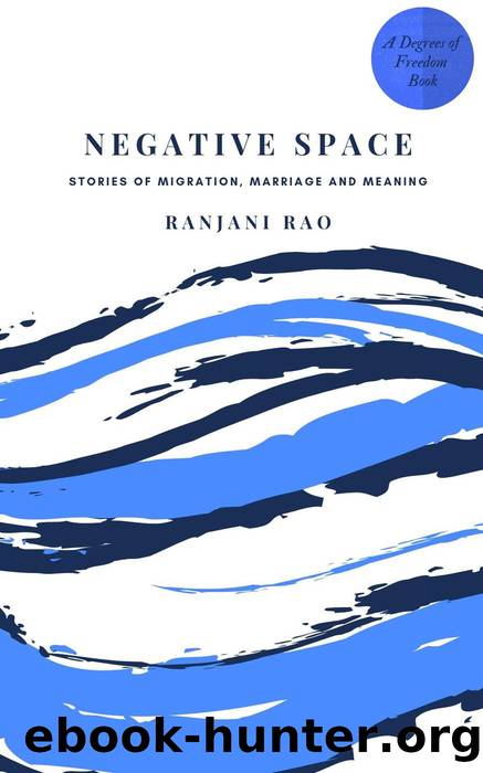Negative Space by Ranjani Rao