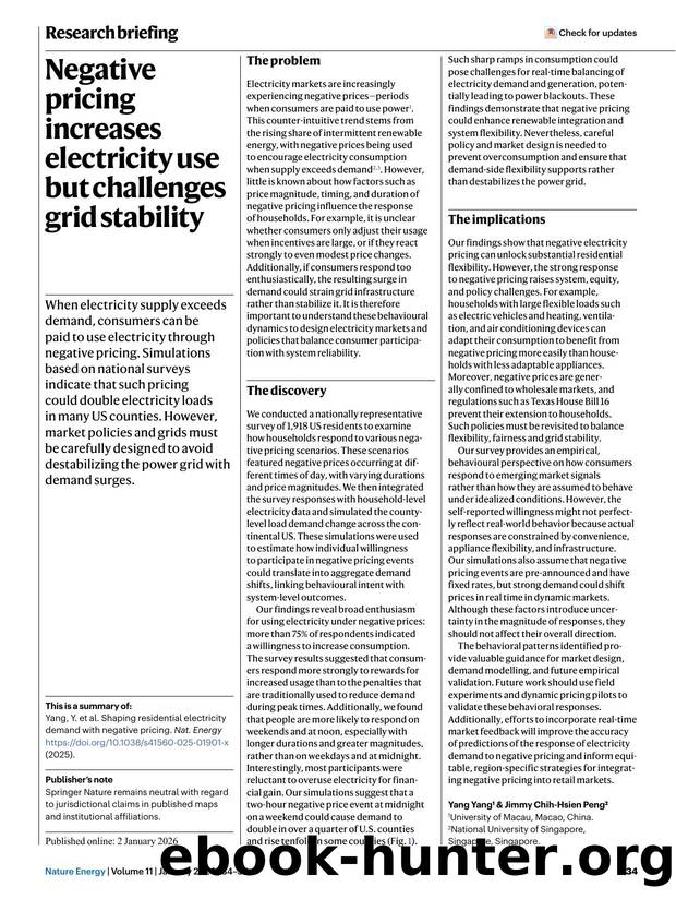 Negative pricing increases electricity use but challenges grid stability by Unknown