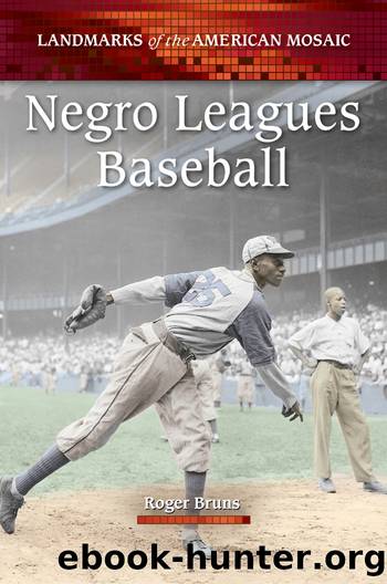 Negro Leagues Baseball by Roger Bruns