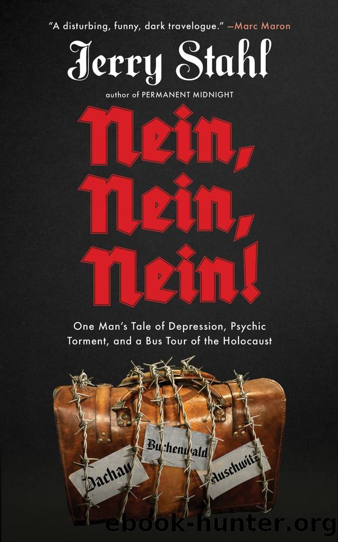 Nein, Nein, Nein!: One Man's Tale of Depression, Psychic Torment, and a Bus Tour of the Holocaust by Jerry Stahl