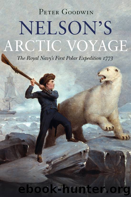 Nelson's Arctic Voyage by Peter Goodwin