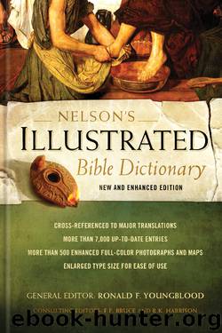 Nelson’s Illustrated Bible Dictionary by HarperCollins Christian Publishing