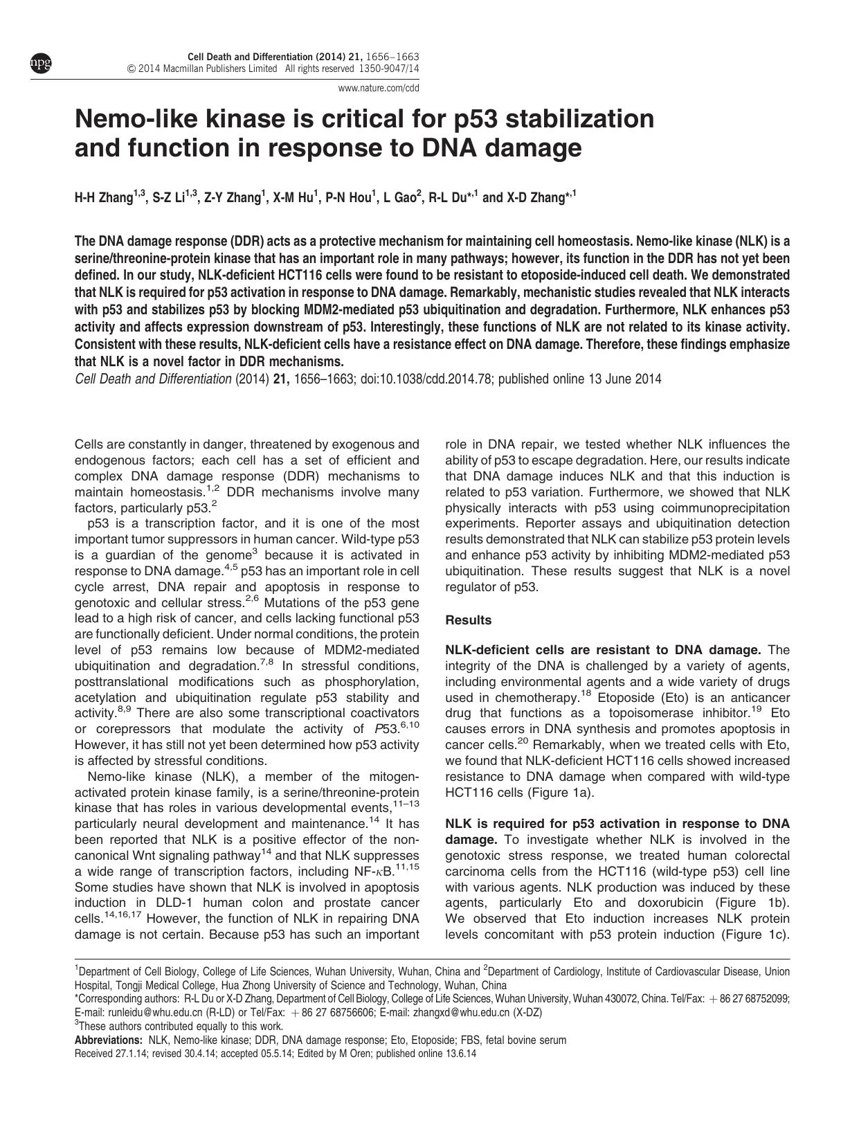 Nemo-like kinase is critical for p53 stabilization and function in response to DNA damage by H-H Zhang & S-Z Li & Z-Y Zhang & X-M Hu & P-N Hou & L Gao & R-L Du & X-D Zhang &