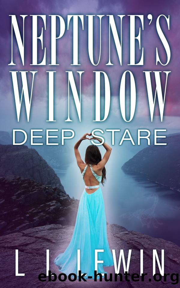 Neptune's Window by L L Lewin