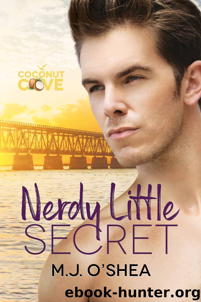 Nerdy Little Secret by M.J. O'Shea