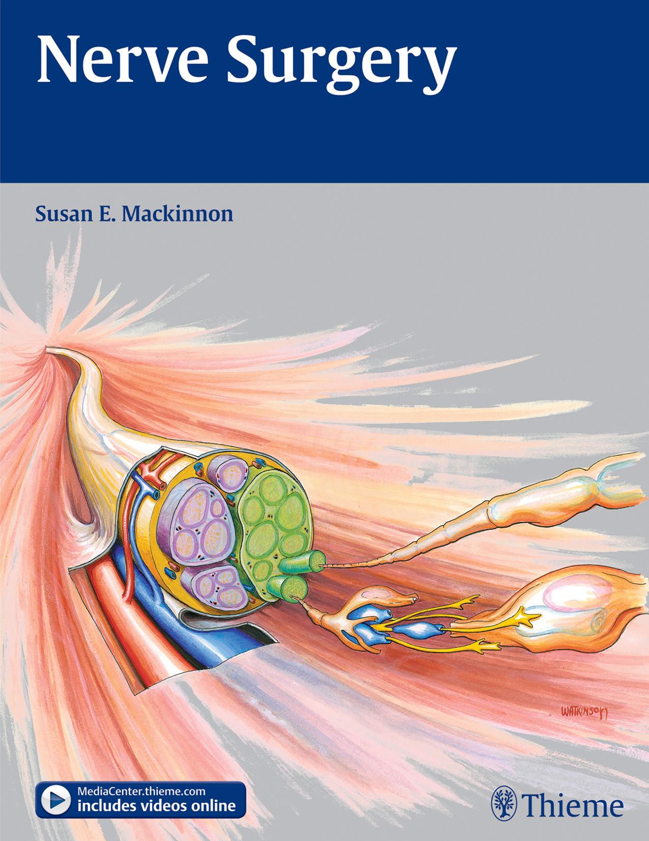 Nerve Surgery by Susan E. Mackinnon by Unknow
