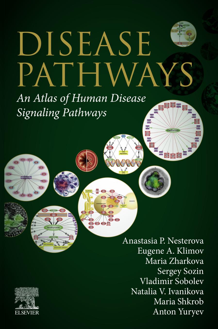 Nesterova A. Disease Pathways. An Atlas of Human Disease...2020 by Unknown