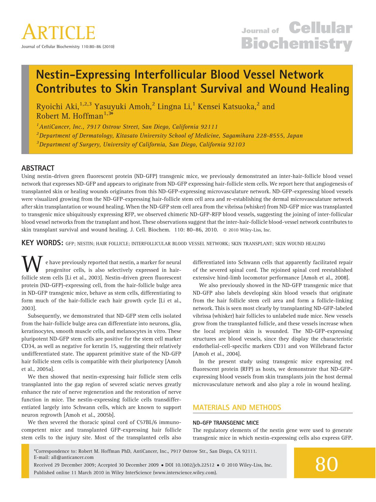 Nestin?expressing interfollicular blood vessel network contributes to skin transplant survival and wound healing by Unknown