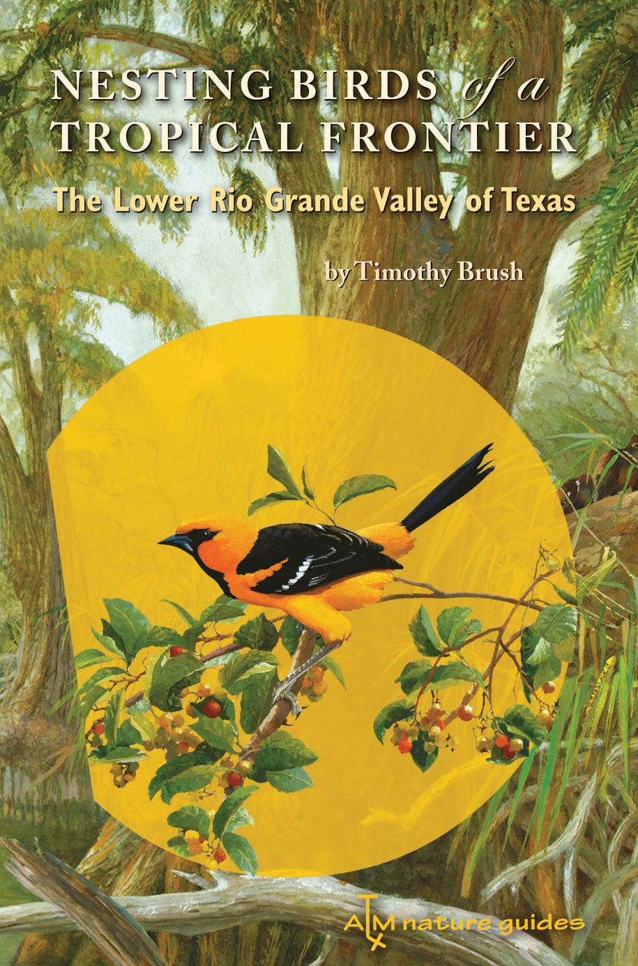 Nesting Birds of a Tropical Frontier: The Lower Rio Grande Valley of Texas by Timothy Brush