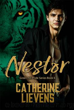 Nestor by Catherine Lievens